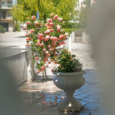 Apartments Nena بودْسْتغانا المظهر الخارجي الصورة