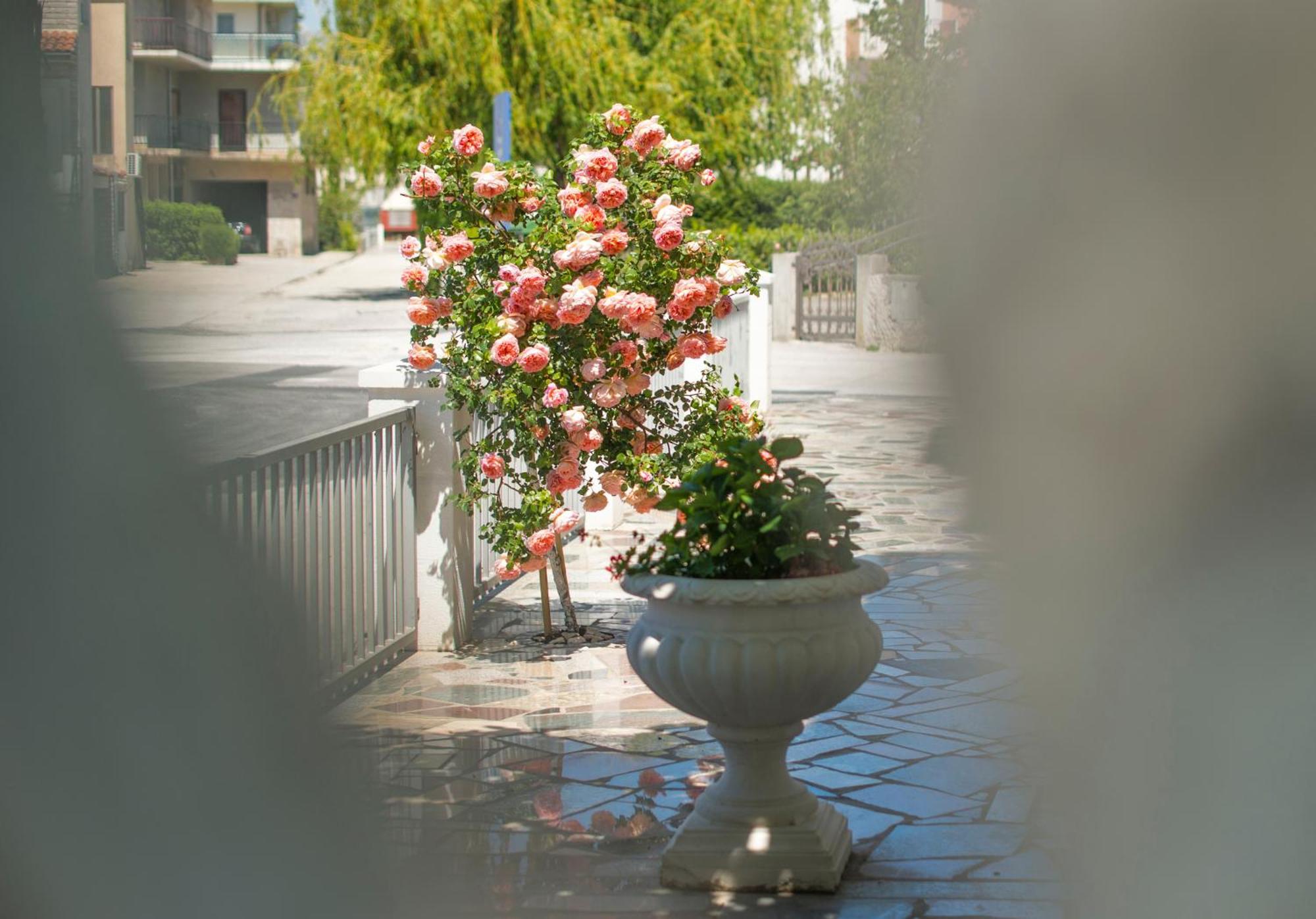 Apartments Nena بودْسْتغانا المظهر الخارجي الصورة
