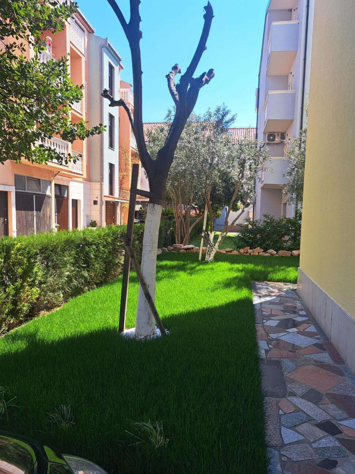 Apartments Nena بودْسْتغانا المظهر الخارجي الصورة
