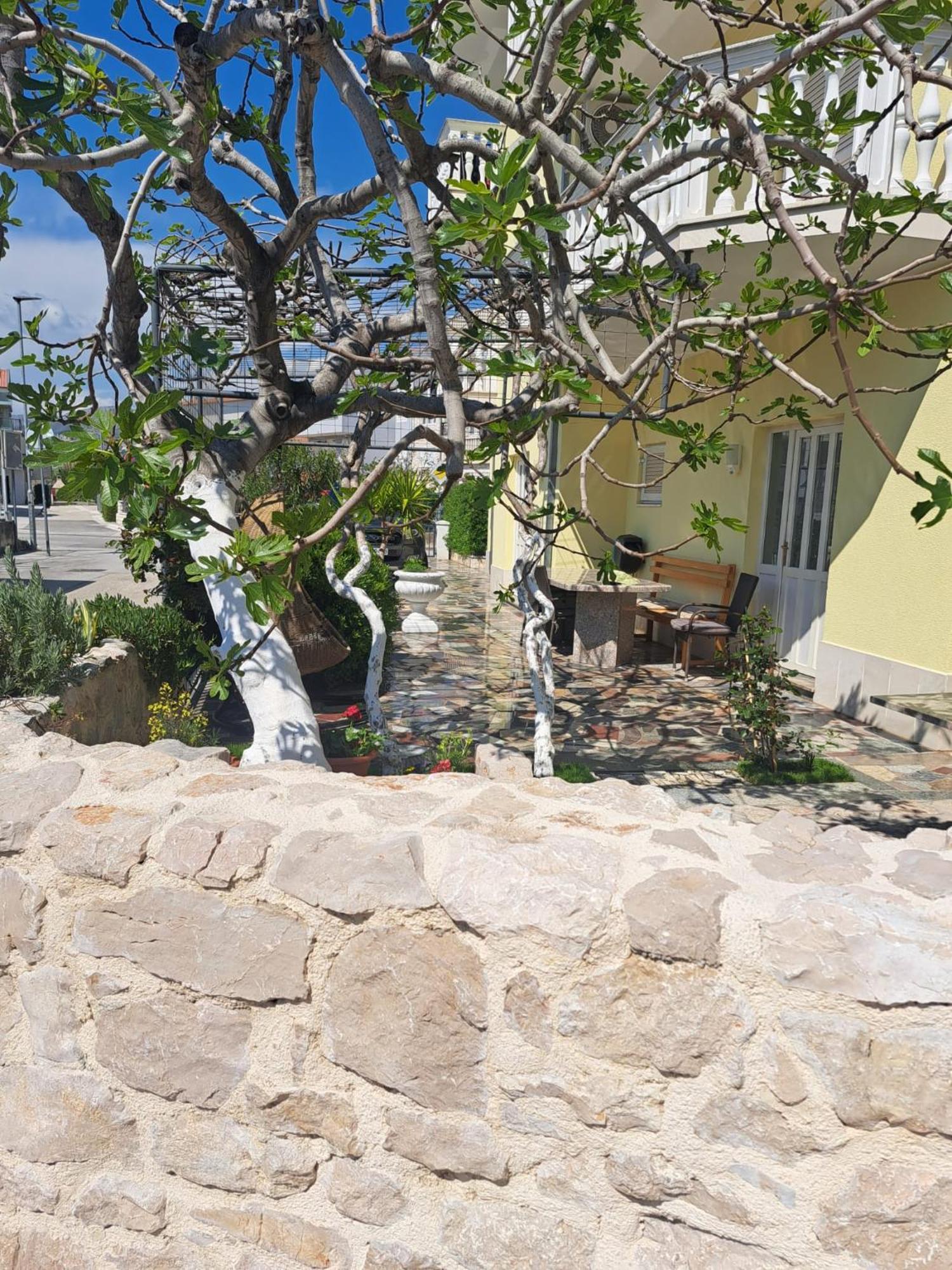 Apartments Nena بودْسْتغانا المظهر الخارجي الصورة
