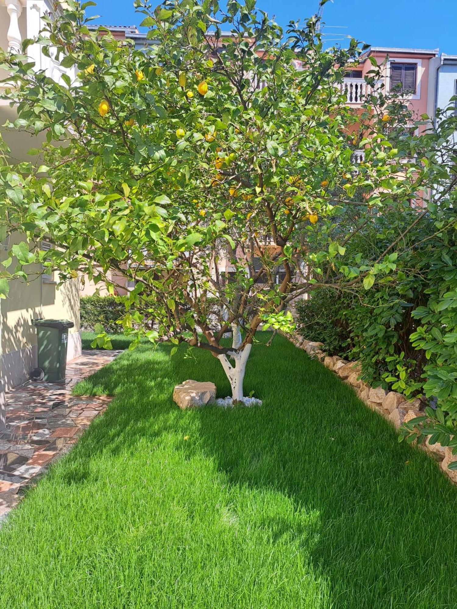 Apartments Nena بودْسْتغانا المظهر الخارجي الصورة